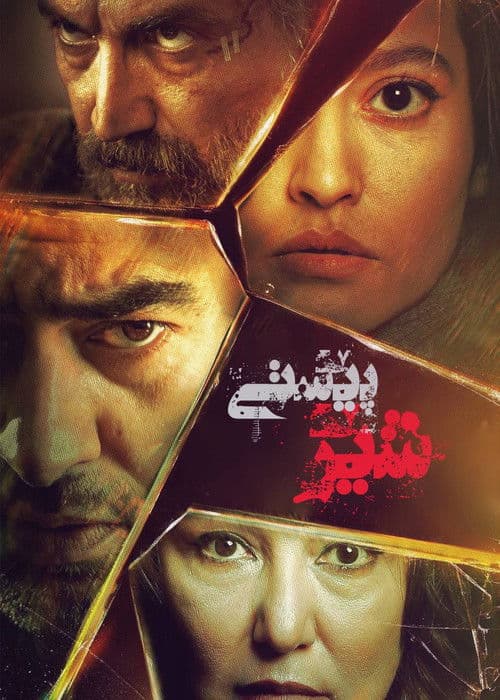 Pooste Shir poster