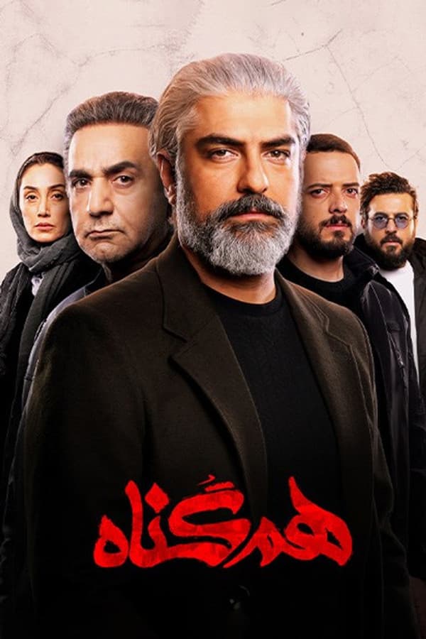 هم‌گناه پوستر