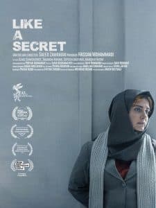 Like A Secret poster