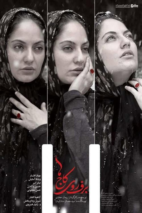 Barf Rooye Kaj Ha poster