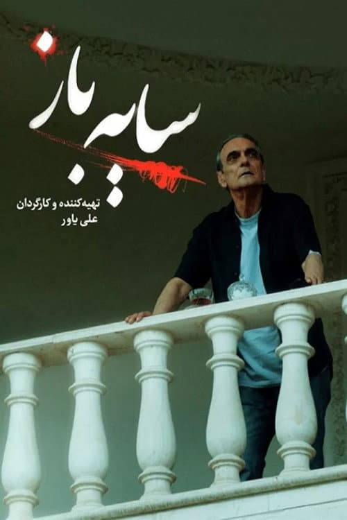 Schemer poster
